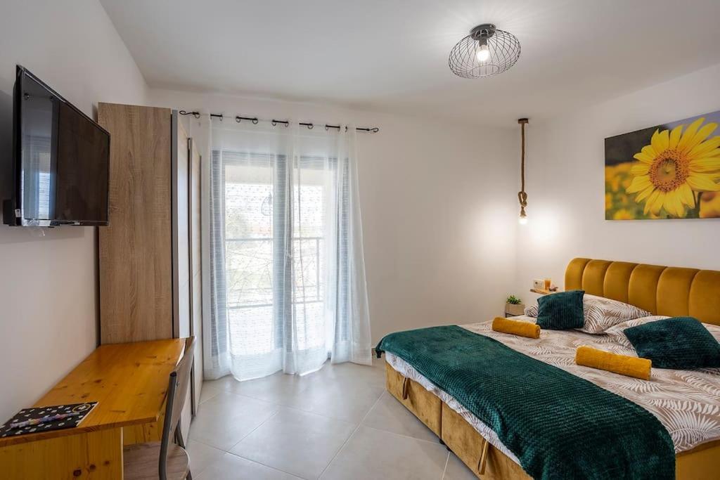Villa House With Pool Poli Stare Nuoni Žminj Esterno foto